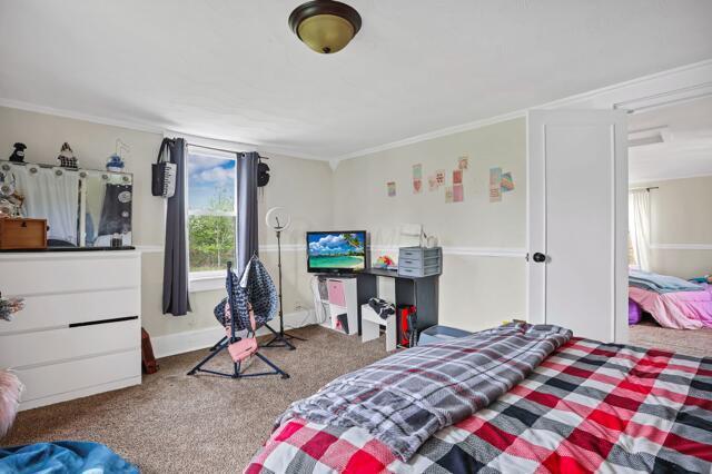 carpeted bedroom featuring baseboards and crown molding