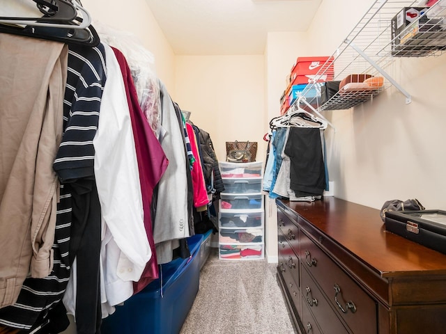 walk in closet with carpet flooring