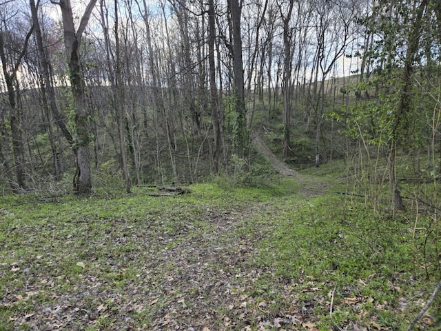 9330 Pidcock Rd, Zanesville, OH 43701 - view of woods
