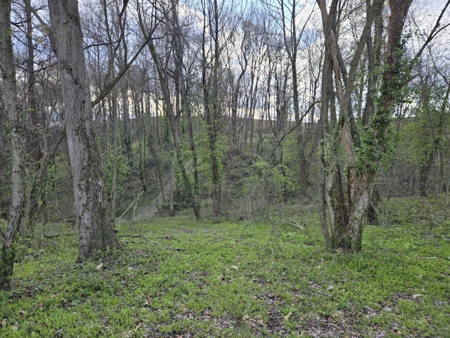 9330 Pidcock Rd, Zanesville, OH 43701 - view of wooded area
