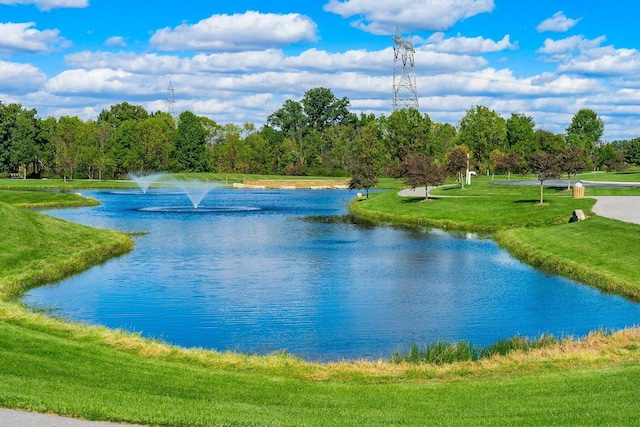 7766 Dickens Ct, Delaware, OH 43015 - view of water feature