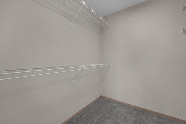 5585 Meadowood Ln, Westerville, OH 43082 - walk in closet featuring carpet flooring