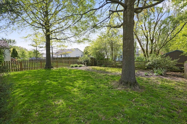 5133 Hidden View Dr, Hilliard, OH 43026 - view of yard