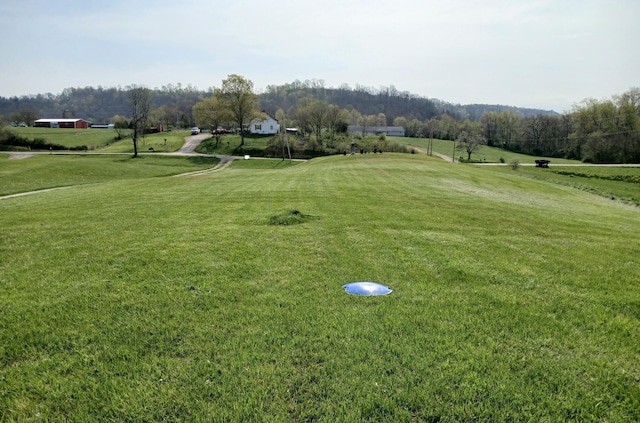 view of community with a yard