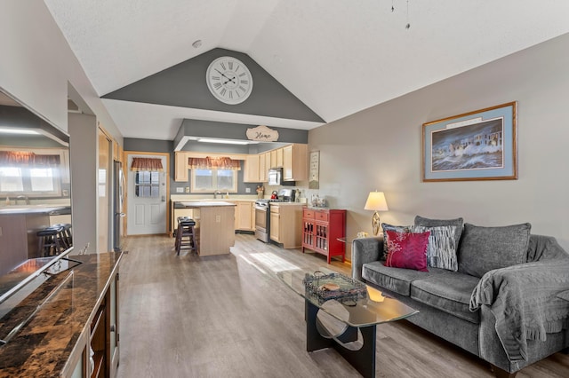 5796 Thada Ln, Columbus, OH 43229 - living area with lofted ceiling and light wood-style floors