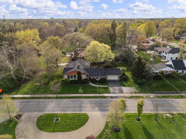 drone / aerial view