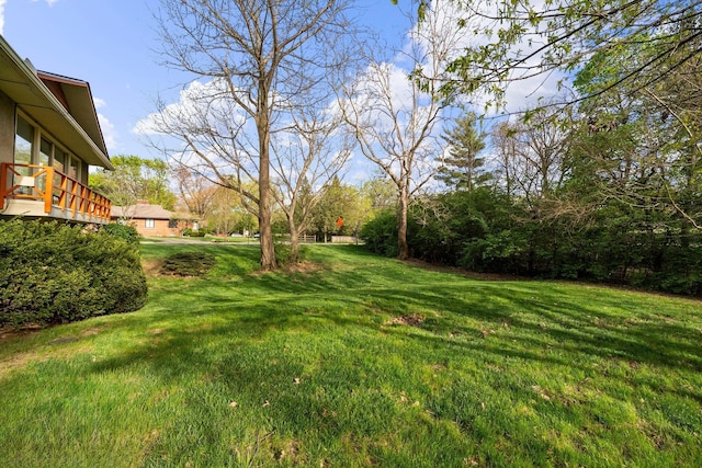 view of yard