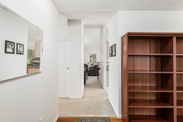 hall with carpet floors, a textured ceiling, baseboards, and a sauna