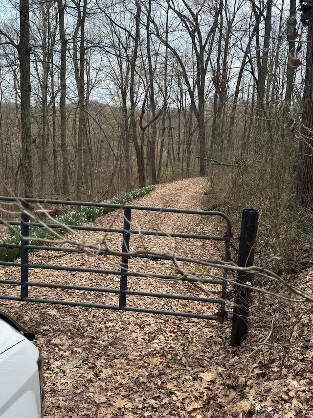 0 Bellia Rd, Laurelville, OH 43135 - view of gate