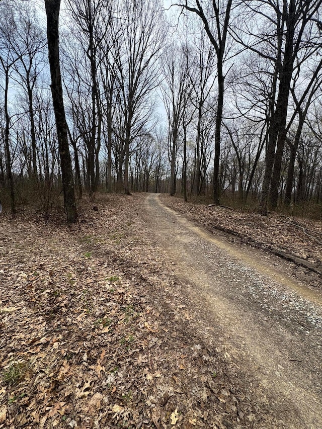 0 Bellia Rd, Laurelville, OH 43135 - view of road