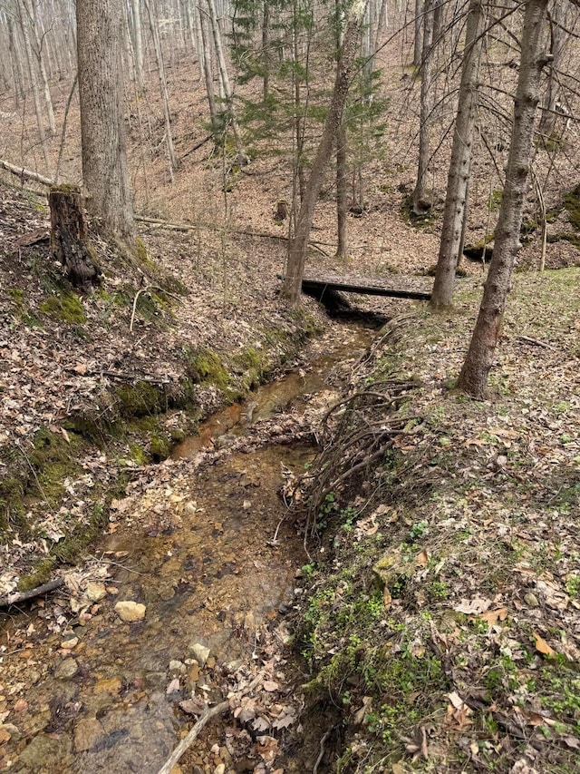 0 Bellia Rd, Laurelville, OH 43135 - view of local wilderness