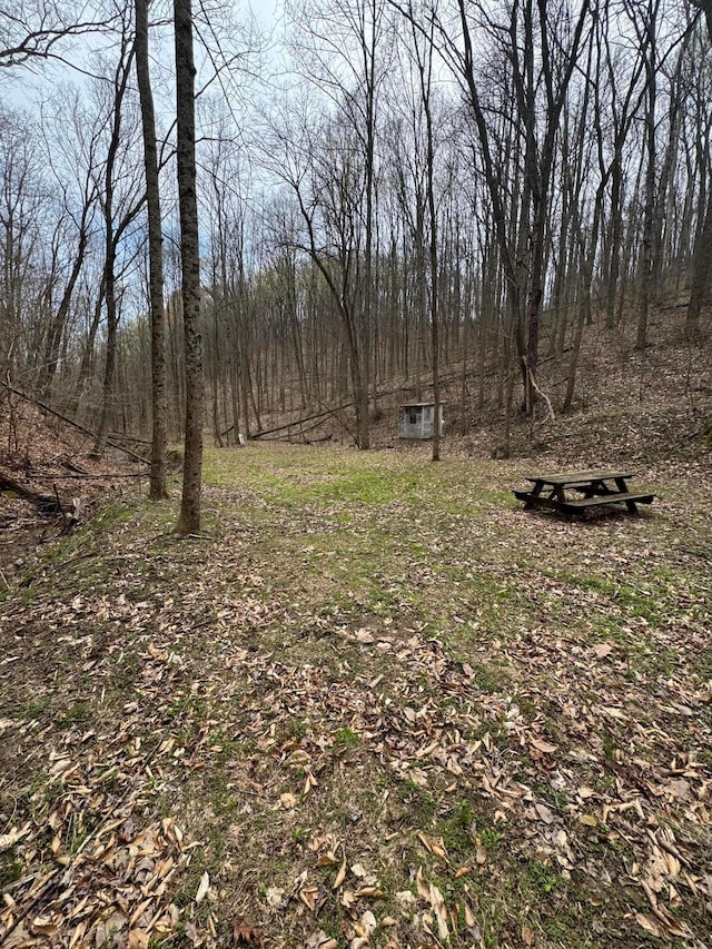 0 Bellia Rd, Laurelville, OH 43135 - view of yard