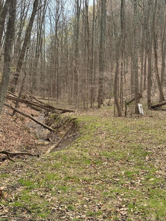 0 Bellia Rd, Laurelville, OH 43135 - view of landscape