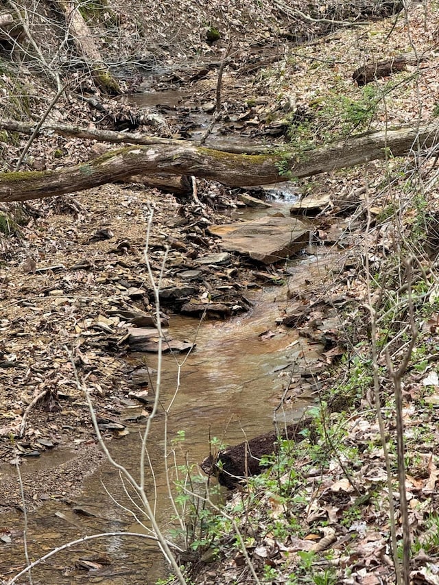 0 Bellia Rd, Laurelville, OH 43135 - view of local wilderness