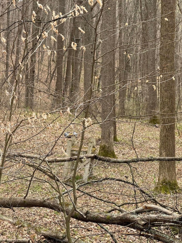 0 Bellia Rd, Laurelville, OH 43135 - view of landscape
