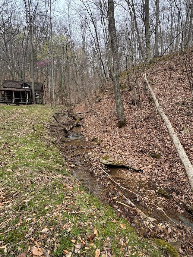 0 Bellia Rd, Laurelville, OH 43135 - view of yard