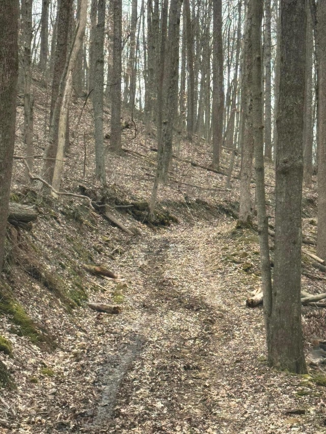 0 Bellia Rd, Laurelville, OH 43135 - view of nature