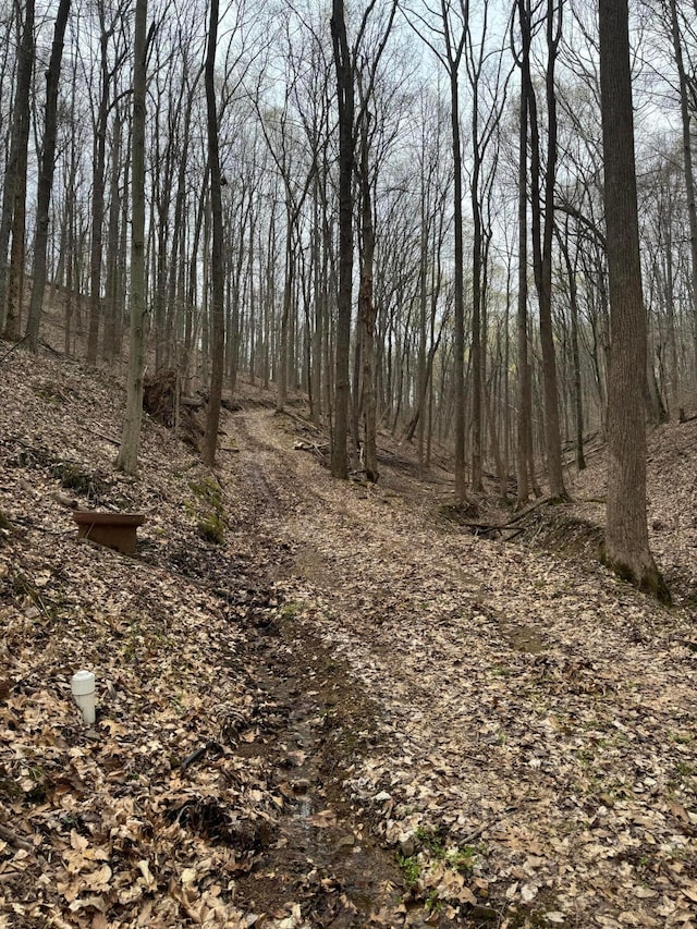 0 Bellia Rd, Laurelville, OH 43135 - view of landscape