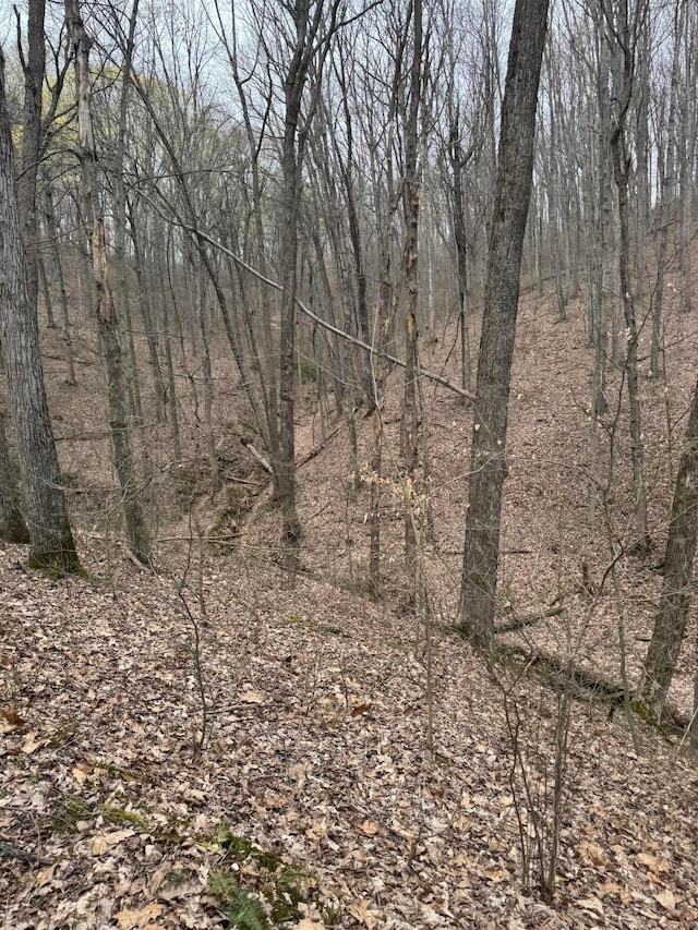 0 Bellia Rd, Laurelville, OH 43135 - view of nature