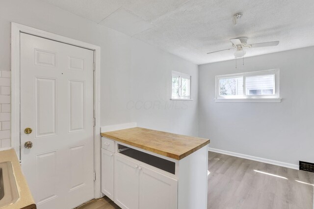 interior space featuring visible vents, a ceiling fan, light wood-style floors, and a sink