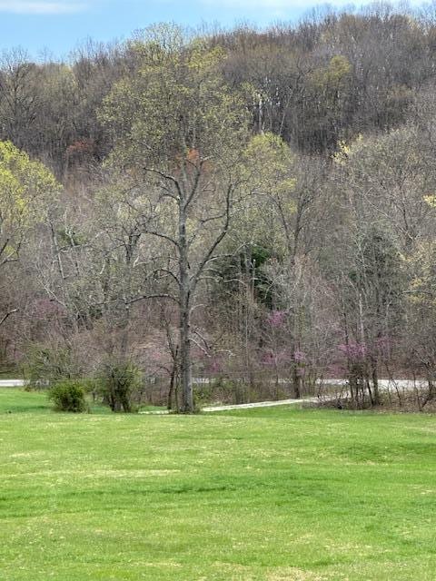 view of yard featuring a view of trees