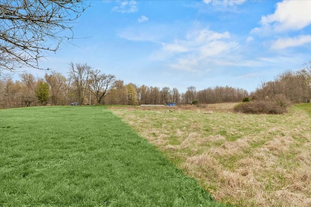 view of yard with a rural view