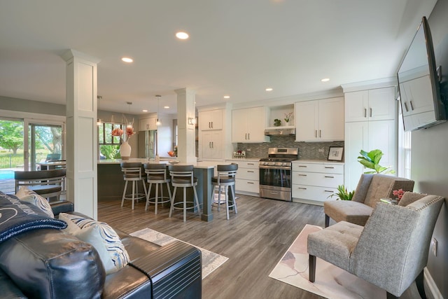 living area featuring recessed lighting and dark wood finished floors