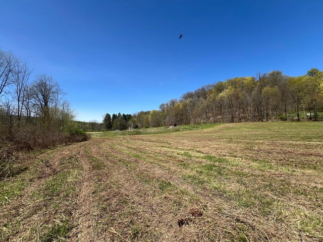 0 Kenton Rd, Bellville, OH 44813 - photo 8