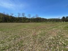 0 Kenton Rd, Bellville, OH 44813 - photo 1