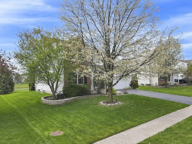 obstructed view of property with a front lawn and aphalt driveway