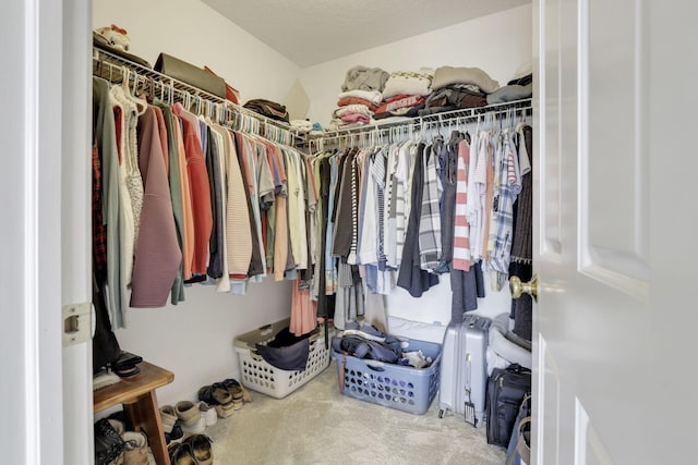 spacious closet featuring carpet flooring
