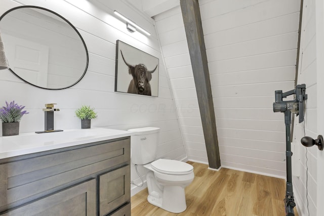 62579 Dunkle Creek Rd, Mcarthur, OH 45651 - bathroom with vanity, toilet, and wood finished floors