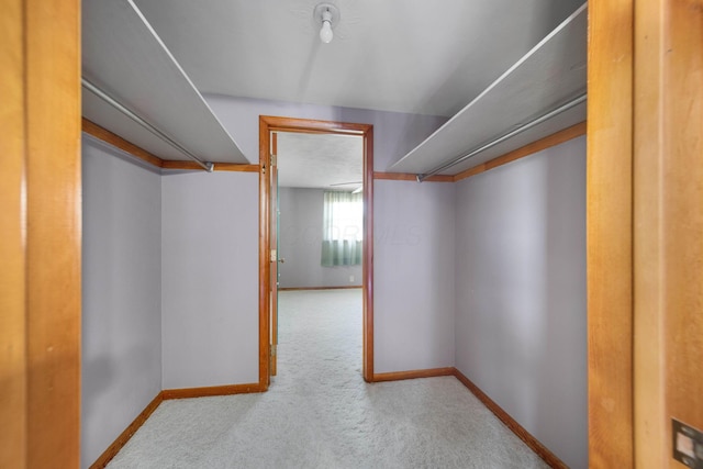 walk in closet with carpet floors