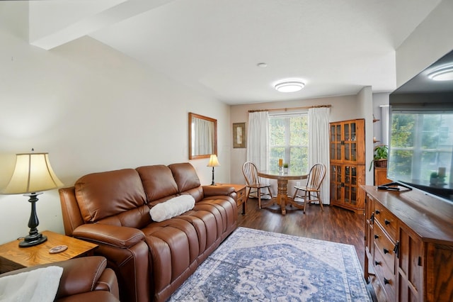 living area featuring dark wood-style floors