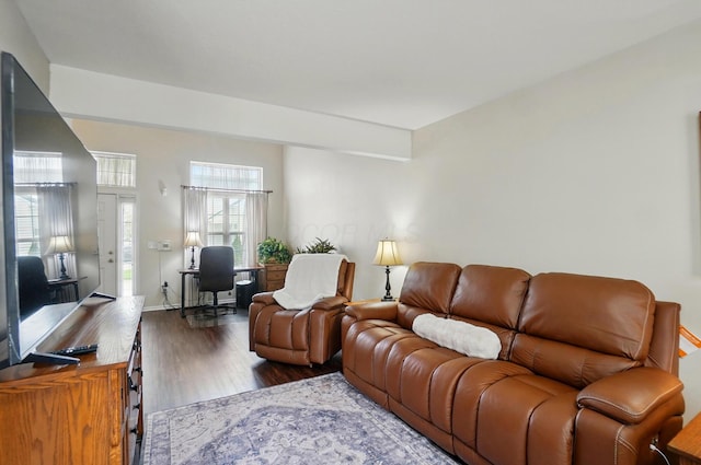 living room with wood finished floors