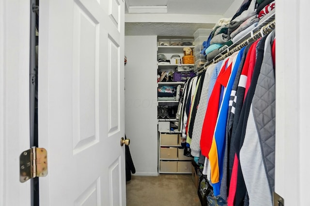 walk in closet with carpet