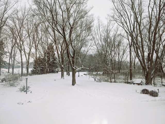12345 Cherry Ln, Millersport, OH 43046 - photo 51