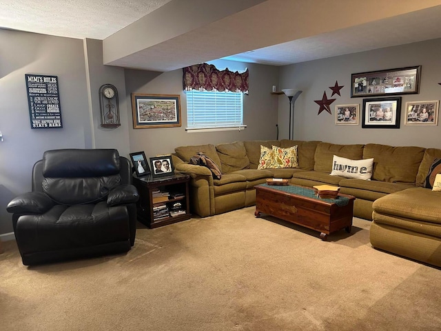 living area with carpet flooring and a textured ceiling
