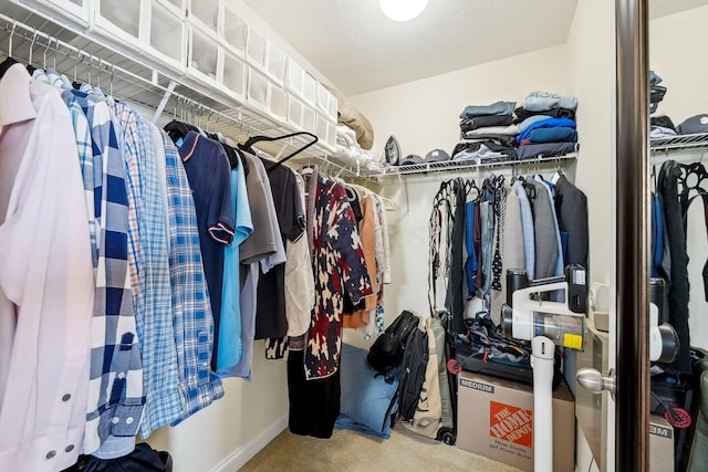 spacious closet with carpet floors