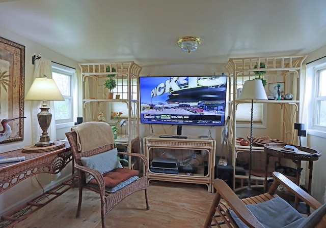 living area featuring wood finished floors and plenty of natural light