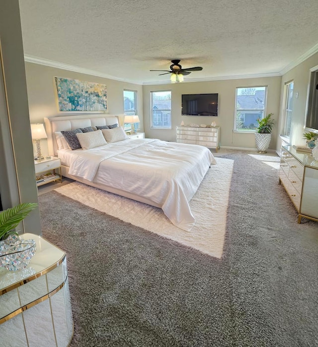 bedroom featuring crown molding, a textured ceiling, carpet floors, and multiple windows