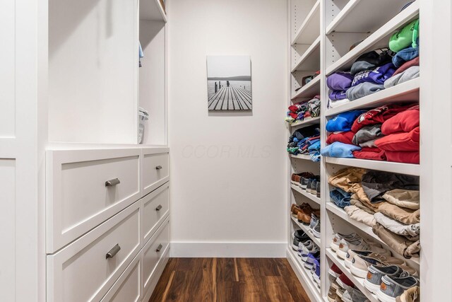 walk in closet featuring dark wood-style floors