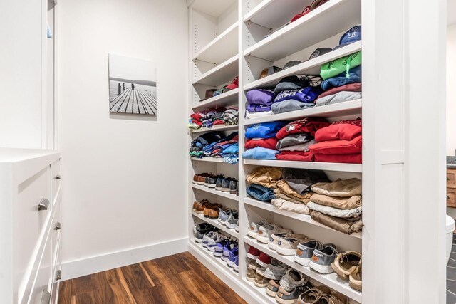 walk in closet with dark wood finished floors