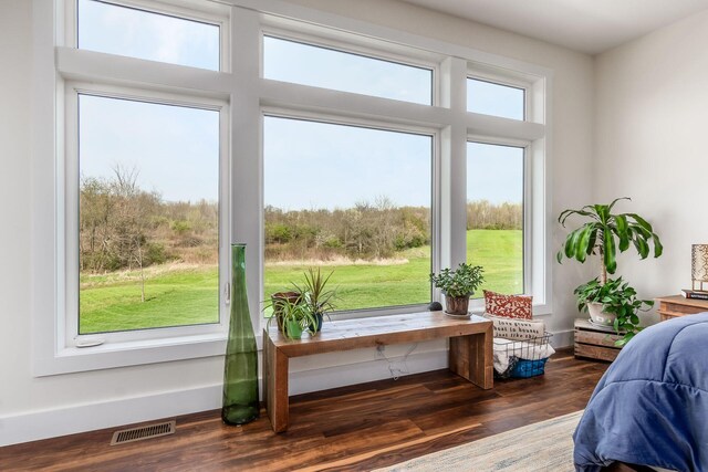 interior space featuring wood finished floors and visible vents