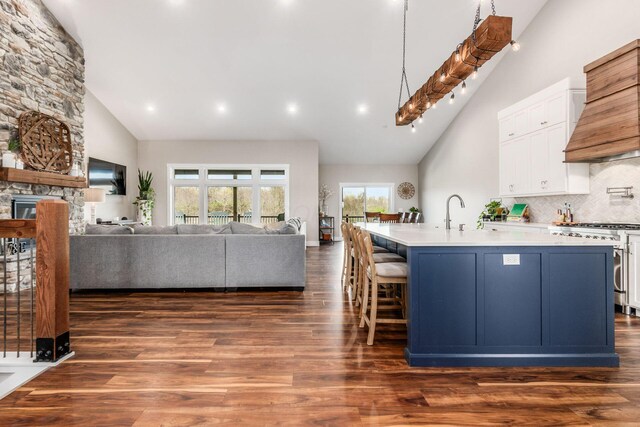 kitchen with high end stainless steel range, open floor plan, high vaulted ceiling, and custom range hood