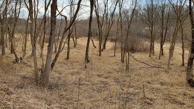 6820 Crane Run Rd, Cumberland, OH 43732
