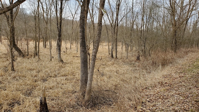 6820 Crane Run Rd, Cumberland, OH 43732