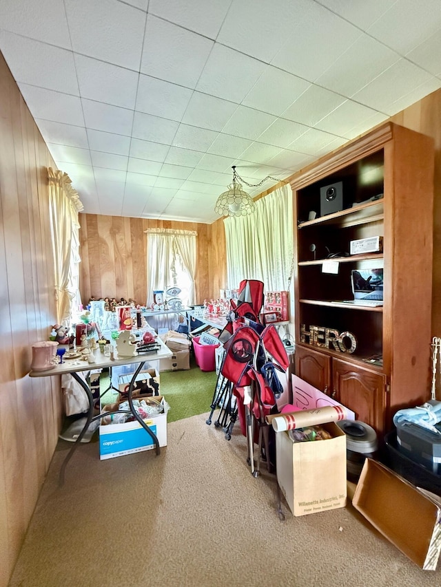 15825 State Route 207, Mount Sterling, OH 43143 - rec room with carpet floors and wood walls
