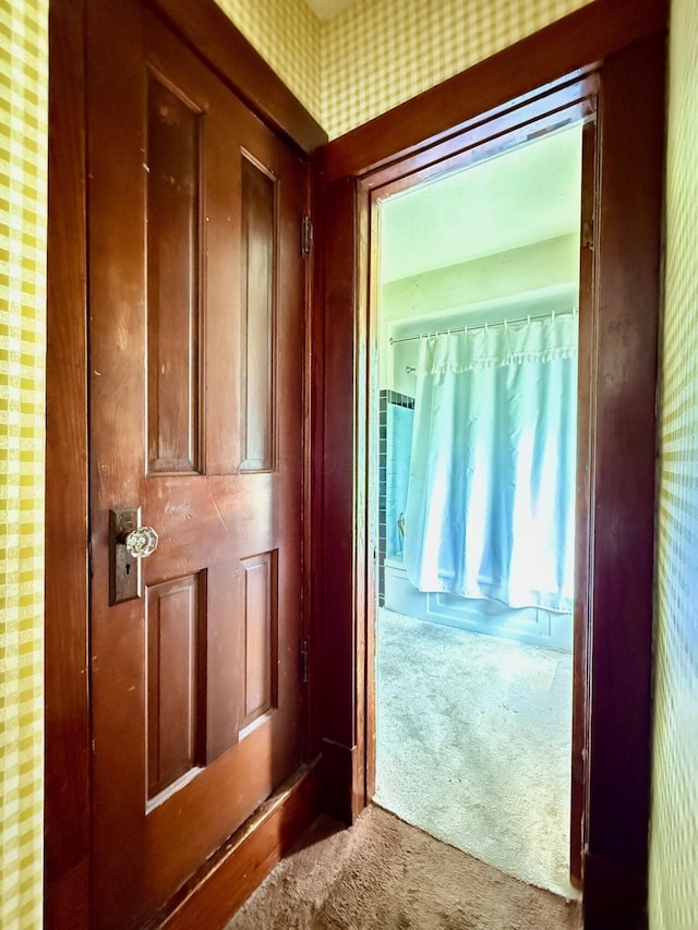 15825 State Route 207, Mount Sterling, OH 43143 - hallway with carpet flooring and wallpapered walls