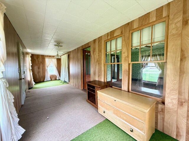 15825 State Route 207, Mount Sterling, OH 43143 - interior space with carpet floors and wooden walls